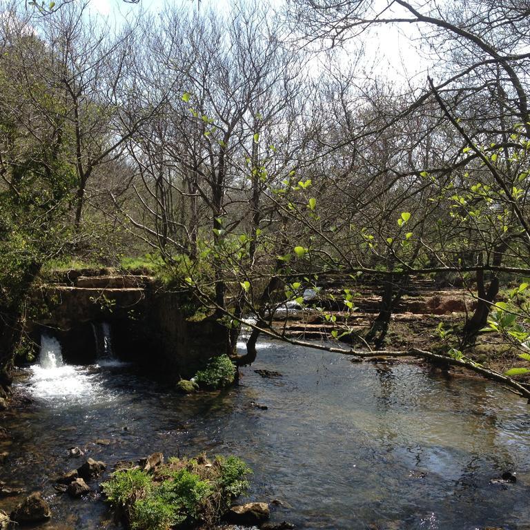 Trisileja En Puente Romano Toñanes Dış mekan fotoğraf